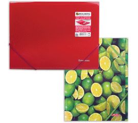 Папки на резинках пластиковые