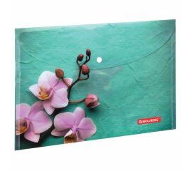 Папки-конверты с кнопкой