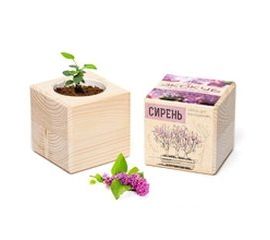 Наборы для выращивания растений