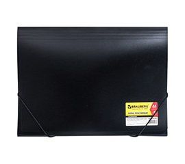 Папки пластиковые с отделениями