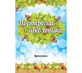 Портфолио и листы-вкладыши к ним