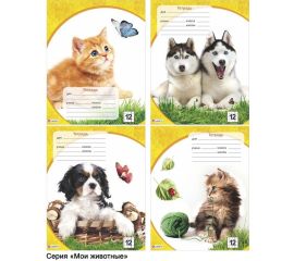 Тетради 12 л, клетка