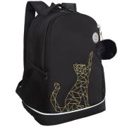 Рюкзак GRIZZLY школьный, анатомическая спинка, 2 отделения, для девочек, «GOLD CAT», 38х28х18 см, RG-563-2/1