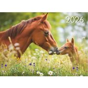 Календарь квартальный на 3-х спиралях 3-х блочный 2026 «Символ года-Год Лошади. Семья», Lamark