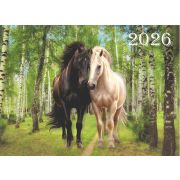 Календарь квартальный на 3-х спиралях 3-х блочный 2026 «Символ года-Год Лошади. Сладкая парочка», Lamark