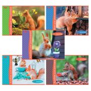 Альбом для рисования А4, 32 л., скоба, обложка картон, HATBER, 205х290 мм, «Белочка пришла» (5 видов), 091519, 32А4В