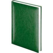 Ежедневник 2026 Lamark Birmingham A5 зеленый, 352 стр., искусственная кожа, белый блок, прошивка по периметру, перфорация угла, ляссе.