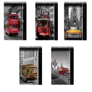 Блокнот А5, 40 л., гребень, ламинированный картон, клетка, Альт, «Города», (5 видов), 3-40-463