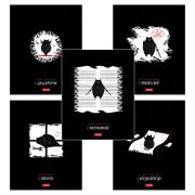 Тетрадь обложка пластик, А5 48л. скоба, клетка, HATBER, «Кот-самурай» (микс в спайке), 091461, 48Т5В1пл