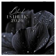 Календарь настенный перекидной 2026 г., BRAUBERG, 12 листов, 28,5х28,5 см, «Black esthetic», 116927