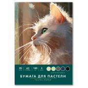 Бумага для пастели БОЛЬШАЯ А3 в папке, 20 листов, 5 цветов, 180 г/м2, BRAUBERG ART CLASSIC, 116346
