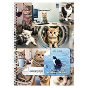 Стикербук ПРОСТО НАКЛЕЙ А6 16 листов 96 цветных стикеров, на гребне, BRAUBERG, Коты мемы, 666050