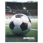 Дневник 1-4 класс 48 л., твердый, ЮНЛАНДИЯ, глянцевая ламинация, с подсказом, «Футбол», 107583