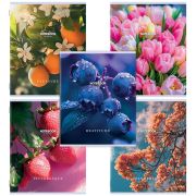 Тетрадь А5 48 л. STAFF «College», скоба, клетка, офсет №2 ЭКОНОМ, обложка картон, «ПРИРОДА», 405626