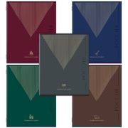 Тетрадь А5 48 л. STAFF «College» скоба, линия, офсет №2 ЭКОНОМ, обложка картон, «РОДИНА», 405629