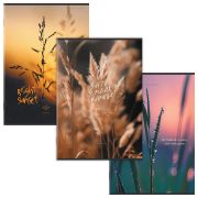 Тетрадь А4 80 л. STAFF «College» скоба, клетка, офсет №2 ЭКОНОМ, обложка картон, ЭСТЕТИКА, 405617