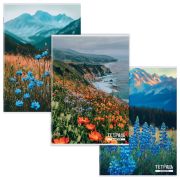 Тетрадь А4 96 л. STAFF «College» скоба, клетка, офсет №2 ЭКОНОМ, обложка картон, ГОРНЫЕ ЦВЕТЫ, 405621