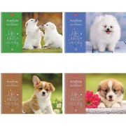 Альбом для рисования А4 40 л., спираль, обложка картон, HATBER, 205х290 мм, «Doggie-Щенки» (4 вида), 067478, 40А4Всп
