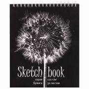 Скетчбук, серая бумага 120 г/м2, 170х195 мм, 30 л., гребень, подложка, цветная фольга, «Одуванчик», 98672