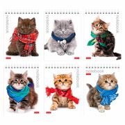 Блокнот МАЛЫЙ ФОРМАТ А6 110х145 мм, 40 л., гребень, лакированная обложка, клетка, HATBER, «Милые Котята», 004667, 40Б6B1гр