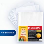 Папки-файлы перфорированные А4 BRAUBERG «PREMIUM», КОМПЛЕКТ 100 шт., матовые, 45 мкм, 221713