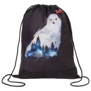 Мешок для обуви ПИФАГОР, 1 отделение, 42х34 см, «White Owl», 270182