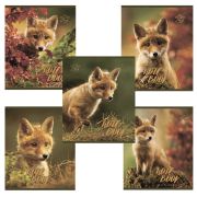 Тетрадь А5, 48 л., ПЗБМ, скоба, клетка, конгрев, глянцевый лак, «Хитрый лис» (5 видов), 028061