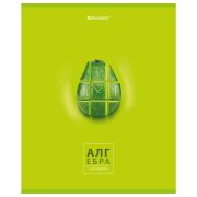 Тетрадь предметная со справочным материалом «AVOCADO» 48 л., глянцевый лак, АЛГЕБРА, клетка, BRAUBERG, 404273