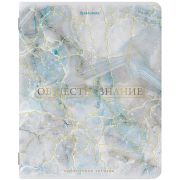 Тетрадь предметная «PASTEL» 48 л., SoftTouch, фольга, ОБЩЕСТВОЗНАНИЕ, клетка, BRAUBERG, 404310