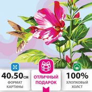 Картина по номерам 40х50 см, ОСТРОВ СОКРОВИЩ «Колибри», на подрамнике, акриловые краски, 3 кисти, 662489