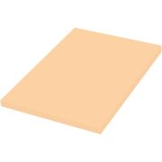 Бумага офисная цветная 50л 80г А4 Master Color SA24 лососевый