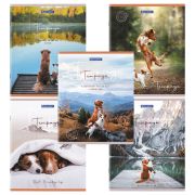 Тетрадь А5 48 л. BRAUBERG скоба, клетка, обложка картон, «Best Friends» (микс в спайке), 404360