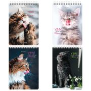 Блокнот А5 (146х206 мм), 80 л., гребень, картон, клетка, BRAUBERG, «Довольные коты», 114374