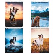 Блокнот А5 (146х206 мм), 80 л., гребень, картон, клетка, BRAUBERG, «Грациозные собаки», 114376