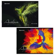 Альбом для рисования А4, 40 л., скоба, обложка картон, BRAUBERG, 205х290 мм, «Полёт» (2 вида), 106707