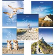 Тетрадь А5, 80 л., BRAUBERG, скоба, клетка, обложка картон, «By the Sea», 404410