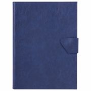 Папка-органайзер семейная для 4-х комплектов документов, формат А4, экокожа, синяя, BRAUBERG, 238206