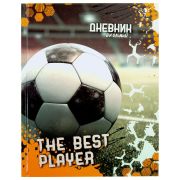 Дневник 1-4 класс 48 л., твердый, ЮНЛАНДИЯ, глянцевая ламинация, с подсказом, «Футбол», 106826