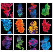 Тетради предметные, КОМПЛЕКТ 12 ПРЕДМЕТОВ, 48 л., глянцевый УФ-лак, BRAUBERG, «PIGMENT», 404834