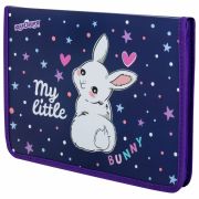 Папка для труда на молнии ЮНЛАНДИЯ А4, 1 отделение, откидная планка, органайзер, «Fluffy tail», 272220