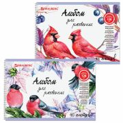 Альбом для рисования, А4, 40 л., гребень, выборочный лак, подложка, внутренний блок 120 г/м2, BRAUBERG, 205х290 мм, «Птицы» (2 вида), 105103