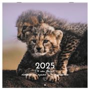 Календарь настенный перекидной на 2025 г., BRAUBERG, 12 листов, 29х29 см, «Детёныши», 116171
