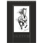 Скетчбук Серебро - Лошадка, А5, 40 л., 100 г/м2, тиснение фольгой, выборочный уф-лак, твердая подложка, спираль сверху