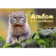 Альбом для рисования 24л. на склейке «Дикий кот - Манул»  выборочный уф-лак, блок - офсет 100г/м