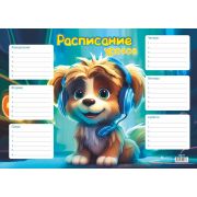 Расписание уроков А4 «Music fun», мелованная бумага 170г/м