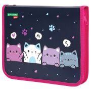 Папка для тетрадей BRAUBERG KIDS А5, 1 отделение, пластик, молния вокруг, «Anti-gravity», 273323