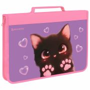 Папка на молнии BRAUBERG А4 с ручкой, с органайзером, 1 отделение, «Paw prints», 273383