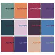 Тетради предметные, КОМПЛЕКТ 12 ПРЕДМЕТОВ, 48 л., обложка картон, BRAUBERG «VIBE», 405163