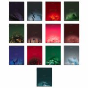 Тетради предметные, КОМПЛЕКТ 13 ПРЕДМЕТОВ, 48 л., SoftTouch, BRAUBERG «PEACEFUL», 405182