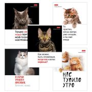 Тетрадь А5 48 л., HATBER скоба, клетка, обложка картон, «Котоюмор» (микс в спайке), 079790, 48Т5В1